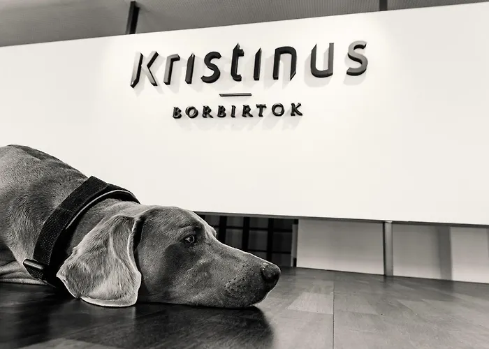 Kristinus Borbirtok