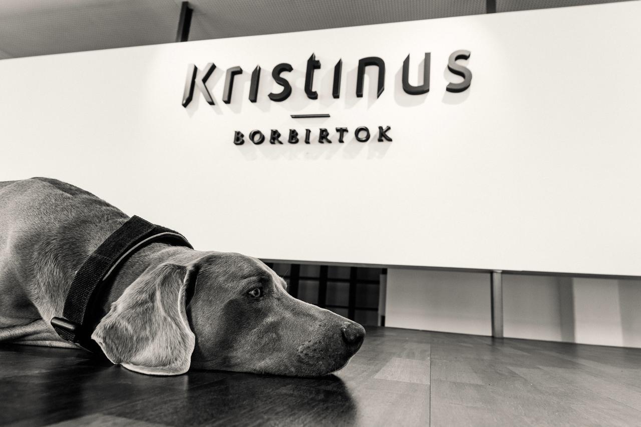 Hotel Kristinus Borbirtok
